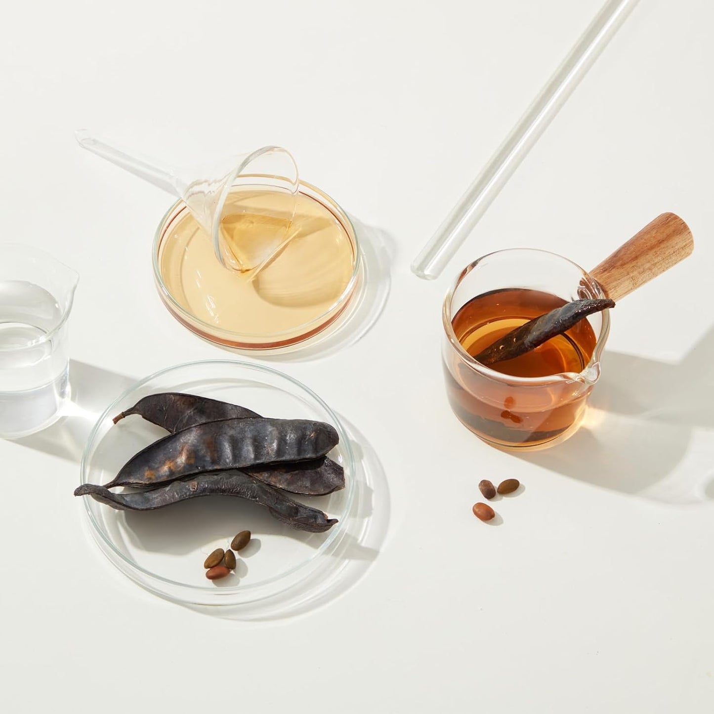 PATIKIL 3.5 Inch Clear Plastic Funnel, 8 Pcs Wide Mouth Multipurpose Transfer Funnel with Long Spout for Filling Water Bottle Liquid Lab Spices Powder Oil