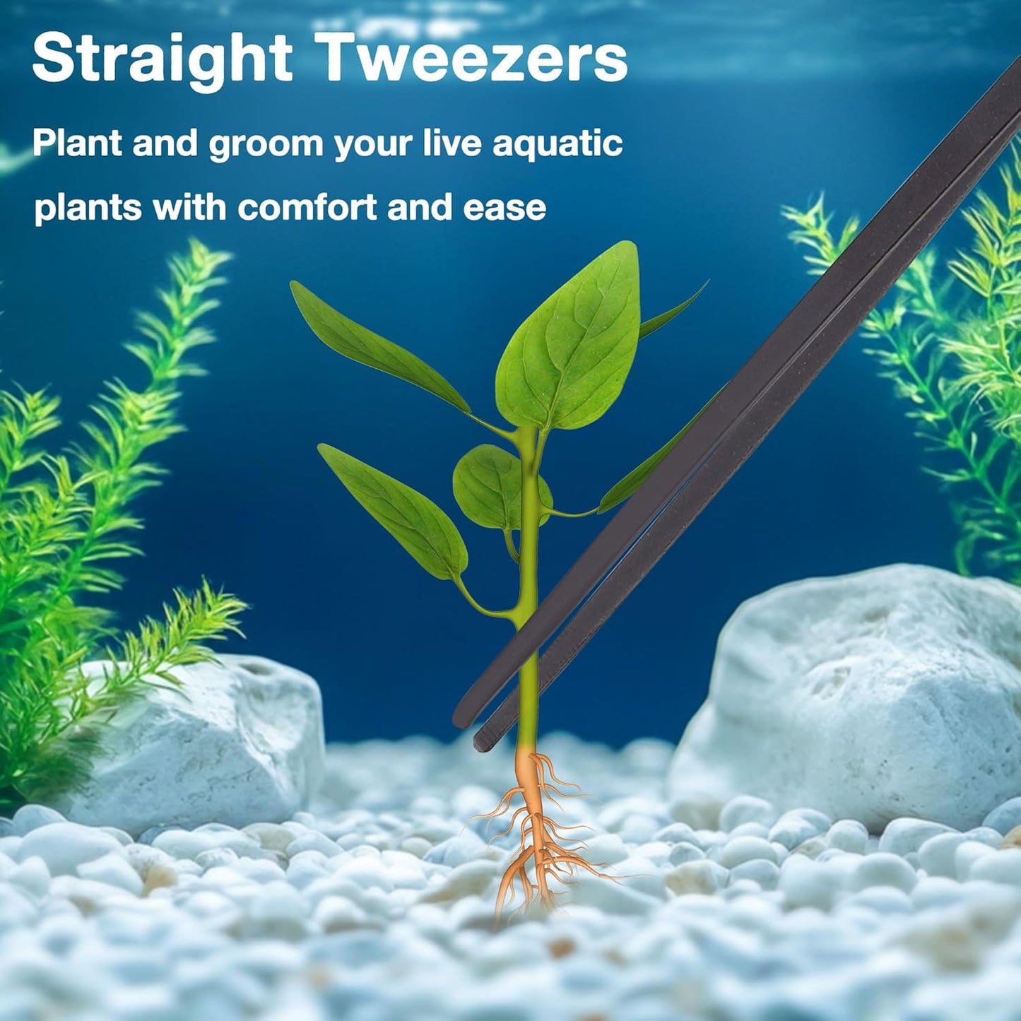 4 in 1 Aquarium Coral Feeder Kit, 2pcs Coral Feeder, with 2pcs Feeding Long Tweezers for Aquarium Marine Fish Reef Aquatic Plant Spider Snake Lizard (Black)