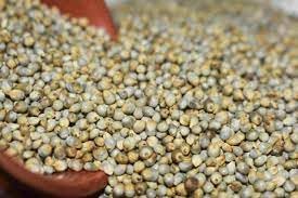 Yamkay Pearl Millet Flour (Bajra Atta) - Naturally Gluten-Free Bajra Flour & Kambu Flour, High-Fiber, Nutritious Grain for Healthy Cooking & Baking (1500 GM)