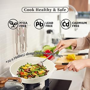 Frying Pans Nonstick with Lid, 10/11 inch Skillets and Frying pans,Granite Cooking Pan with Pour Spout,Non Toxic Pan for Stove,Induction,Gas,Pb, Cd PFOA Free(Granite, 11inch)