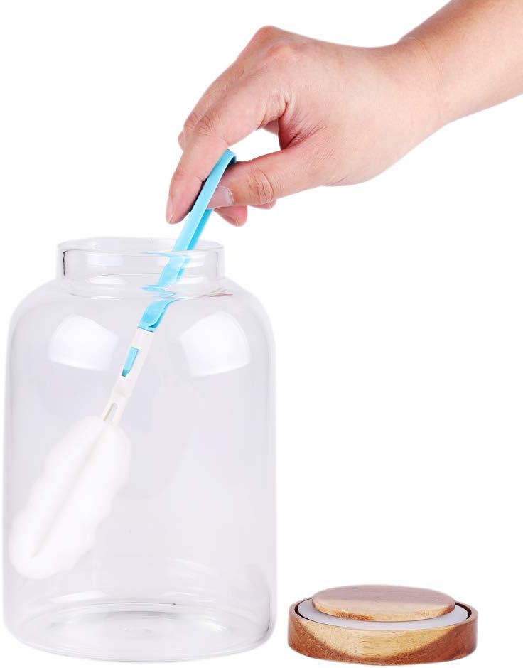 Large Glass Food Canisters, 66 FL OZ(1950ml) Kitchen Serving Stoarge Container with Airtight Acacia Lids, Cereal Dispenser Jars for Spaghetti Pasta, Powder, Spice, Tea, Coffee(7.6inch high)