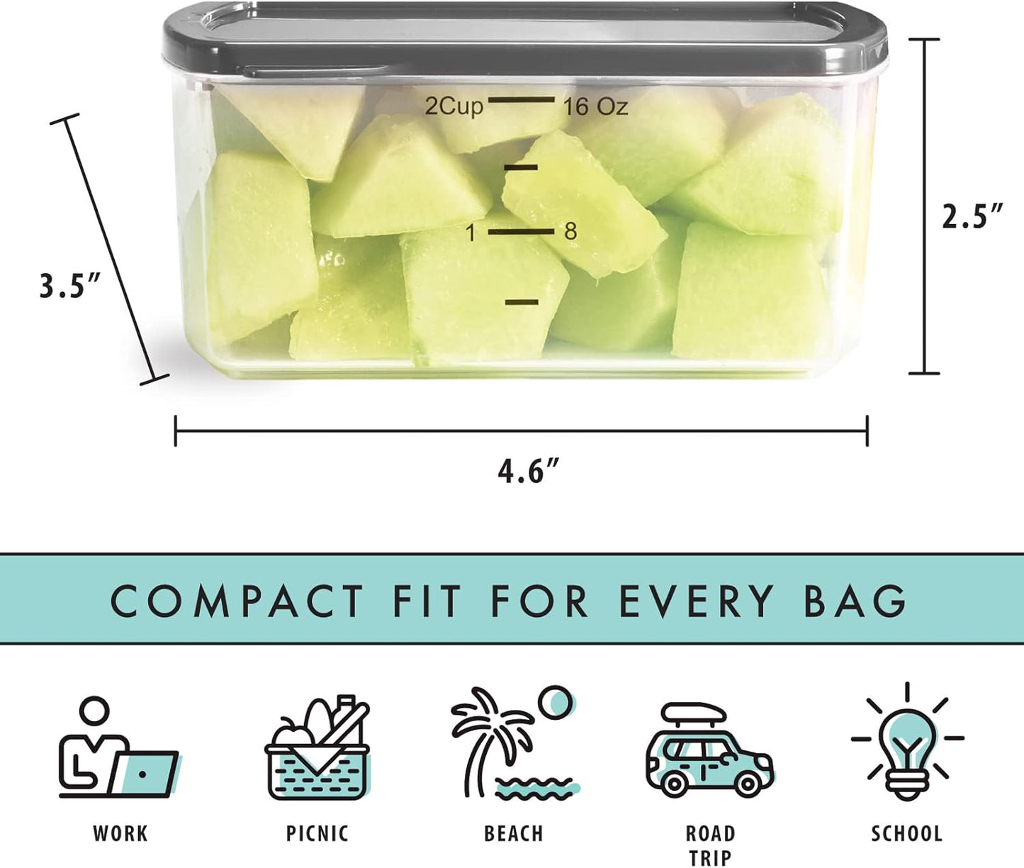 Fit & Fresh Small Plastic Containers With Lids 16 oz, Small Snack Containers With Lids For Adults and Kids, Reusable Leakproof Dressing and Condiment Containers With Two Attachable Ice Packs, 4PK, Light