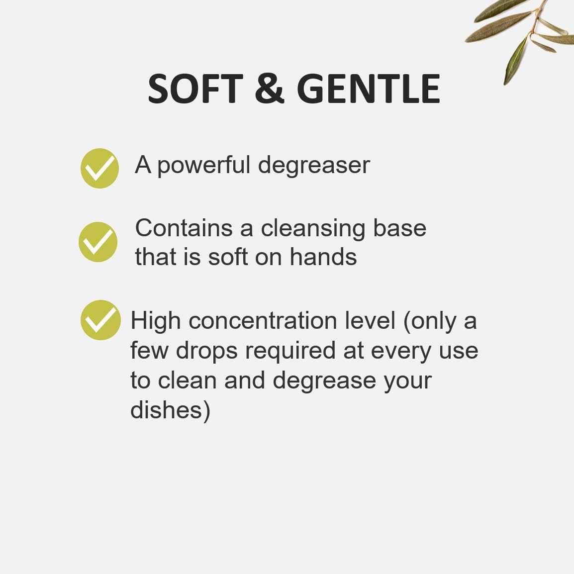 Cucina Fruits & Passion Biodegradable Concentrated Liquid Dish Soap Detergent 16.9 Ounces - 2 Pack (Sea Salt and Amalfi Lemon)