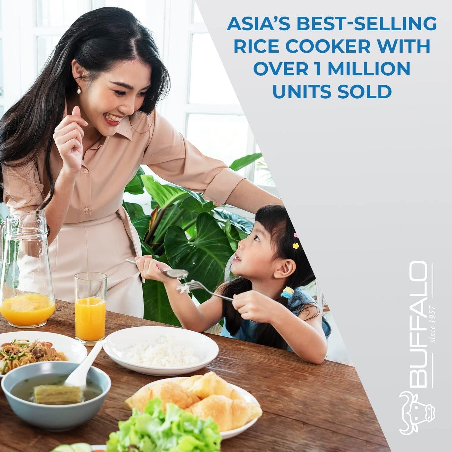 Buffalo Classic Rice Cooker with Clad Stainless Steel Inner Pot - Electric Rice Cooker for White/Brown Rice, Grain - Easy-to-clean, Non-Toxic & Non-Stick, Auto Warmer (5 Cup)