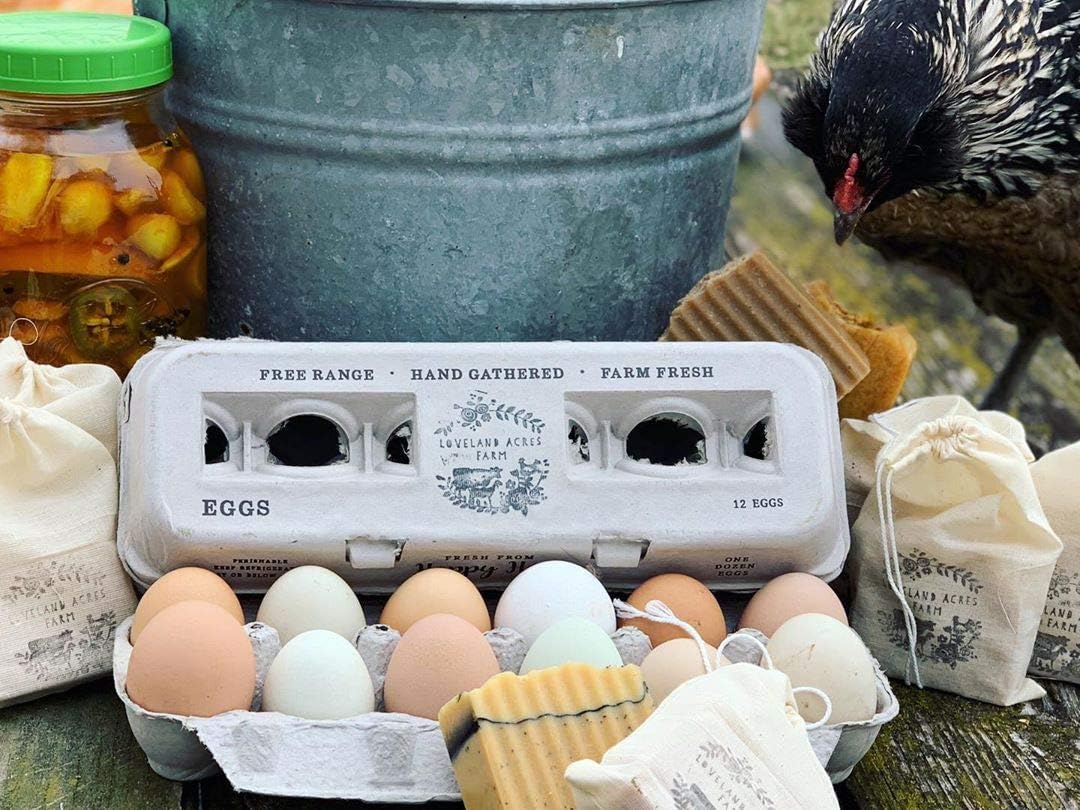 Egg Cartons- Adorable Printed Design for Farm Fresh Eggs, Recycled Paper Cardboard, Sturdy & Reusable, Holds up to XL Chicken Eggs (Blank Stamping, 25)
