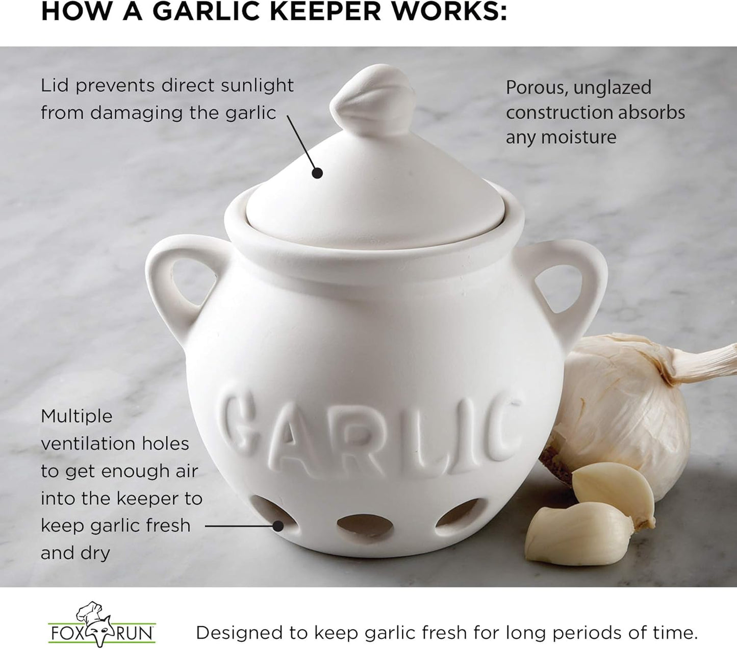 Fox Run Garlic Keeper, Terra Cotta, Red, 4.25 x 5.25 x 5.25 inches
