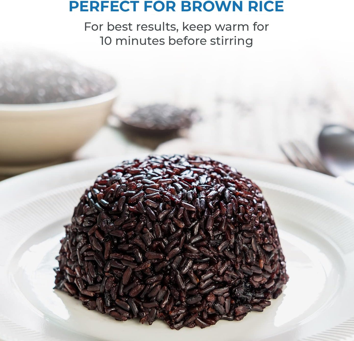 Buffalo Classic Rice Cooker with Clad Stainless Steel Inner Pot - Electric Rice Cooker for White/Brown Rice, Grain - Easy-to-clean, Non-Toxic & Non-Stick, Auto Warmer (10 Cup)