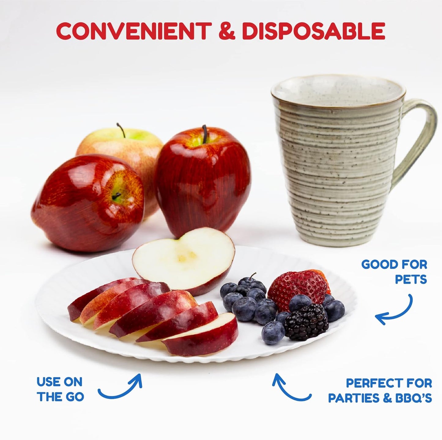 Hygloss Paper Plates - Uncoated White Plate - Use for Foodware, Events, Activities, Crafts Projects and More - Environmentally Friendly - Recyclable and Disposable - 9-Inches - 100 Pack