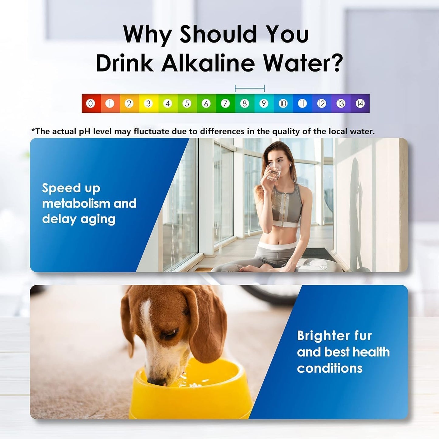 Waterdrop Alkaline Water Filter Dispenser, Large 40-Cup, Healthy, Clean & Toxin-Free Mineralized Alkaline Water, 100-Gallon, BPA Free, Black (1 Filter Included)