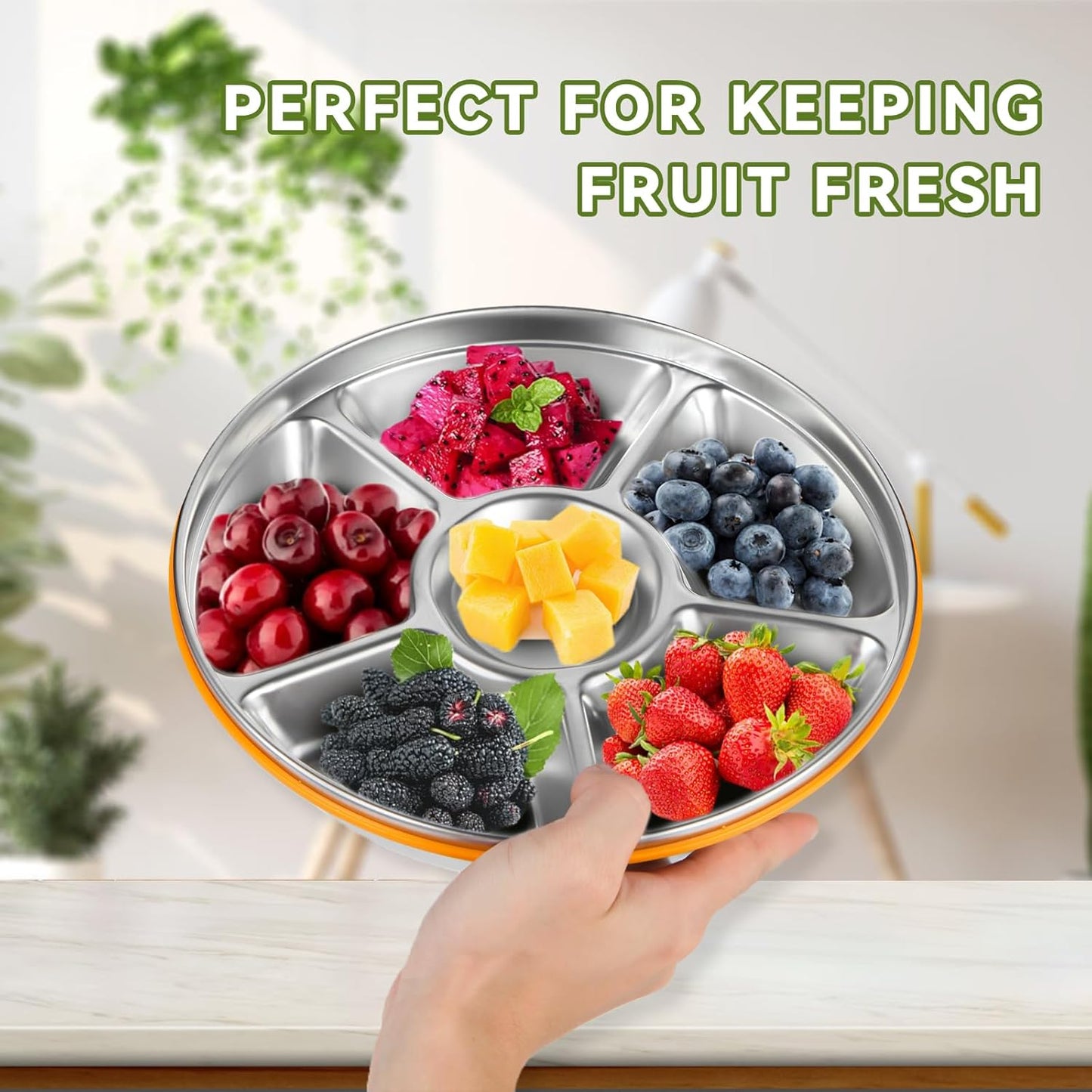 6-Compartment Stainless Steel Serving Tray with Lid - 10-inch Divided Snack/Vegetable/Fruit Tray for Christmas Parties, Snackle Box & Platter Container