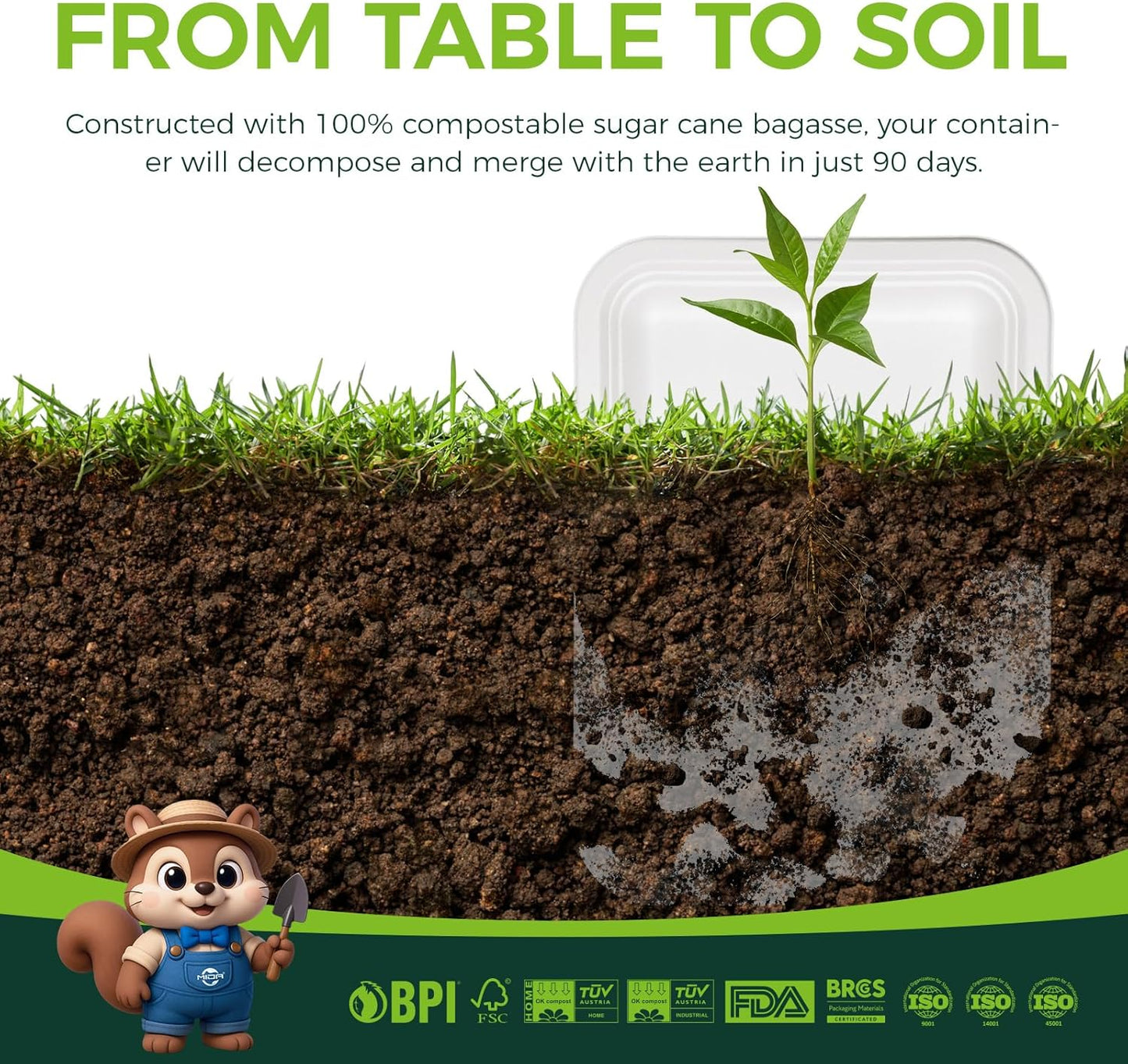 50 Pack White 14-Inch Heavy-Duty Compostable Food Trays | Extra Large Disposable Platters for BBQ, Seafood Boils, Catering & Holidays | Eco-Friendly Paper Serving Trays