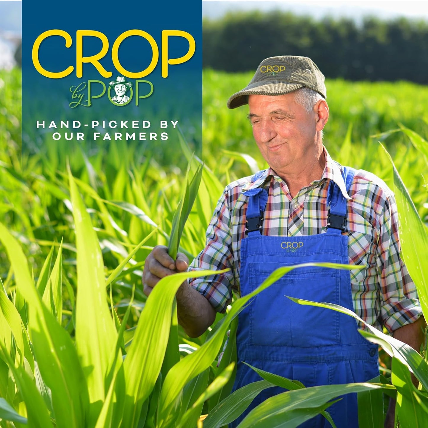 CROP BY POP - Organic Coconut Flour (64 Oz - 4 LB) Packed Fresh in Resealable Bag - USDA Organic, Non GMO - Naturally Grown, Vegan, Kosher