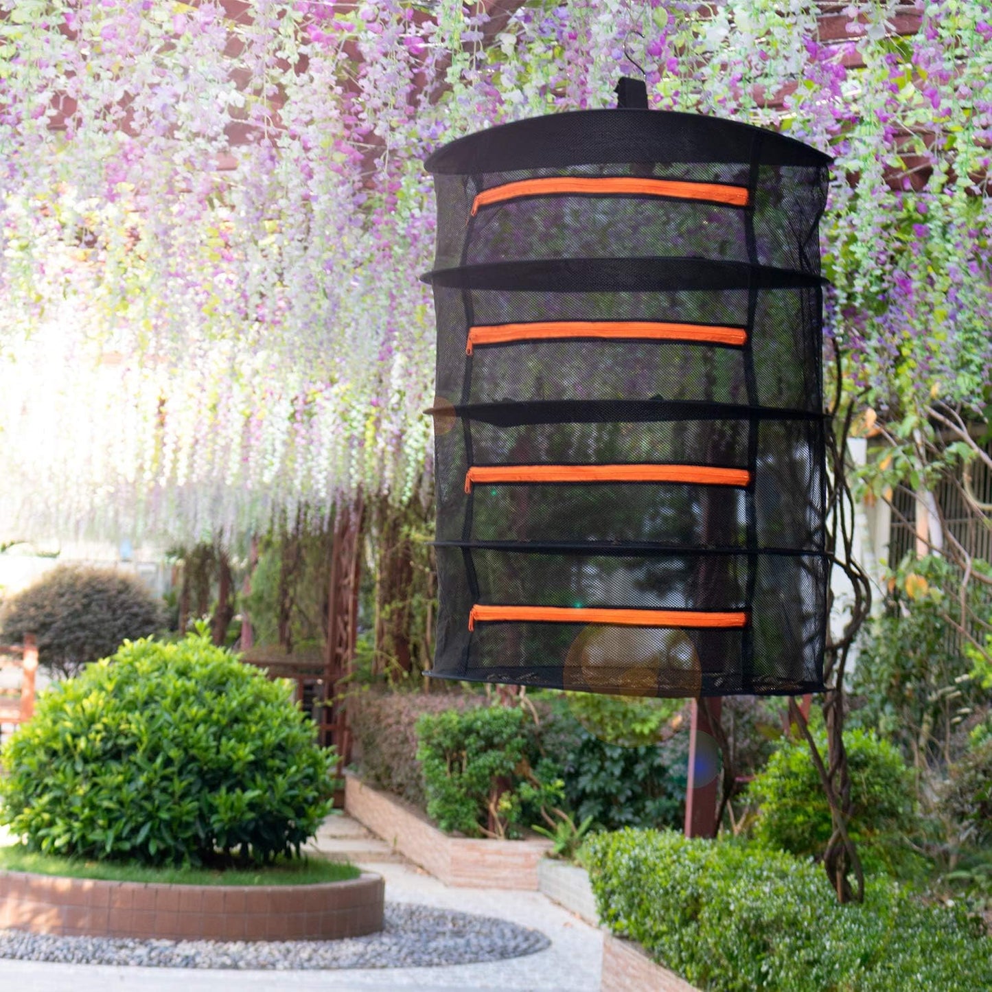 Desy & Feeci Herb Drying Rack-2ft Diameter 4 Layer Folding Mesh Hanging Basket Dryer Net with Zippers for Seeds Flowers Buds Plants Garden Outdoor Bumper Harvest(D24xH31 inch)