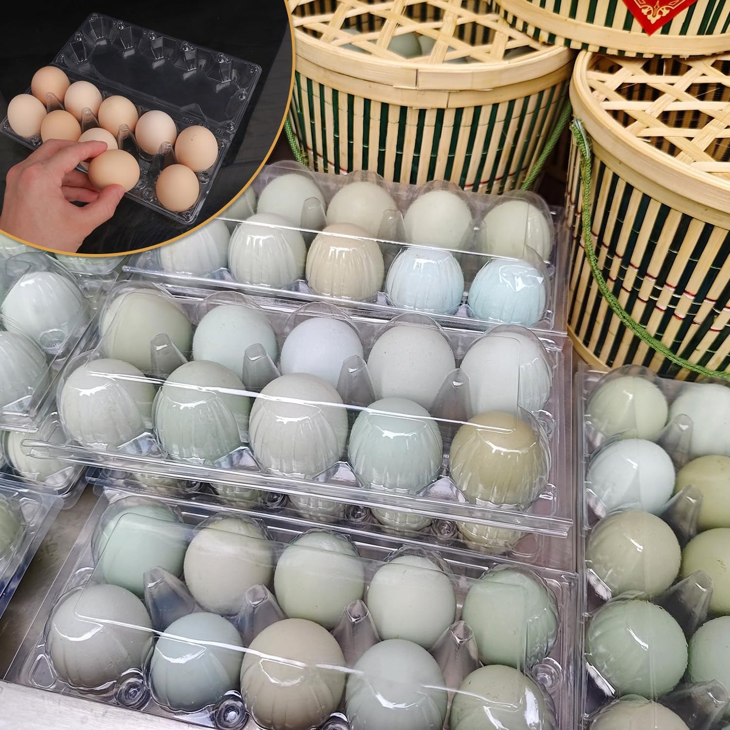98 Pack Bulk Egg Cartons, Clear Plastic Chicken Egg Holders, Egg Tray Carton Holder for Home & Kitchen, Farm & Market Use, An Eco-Friendly Egg Storage Solution, 10 Grids(Medium Size)