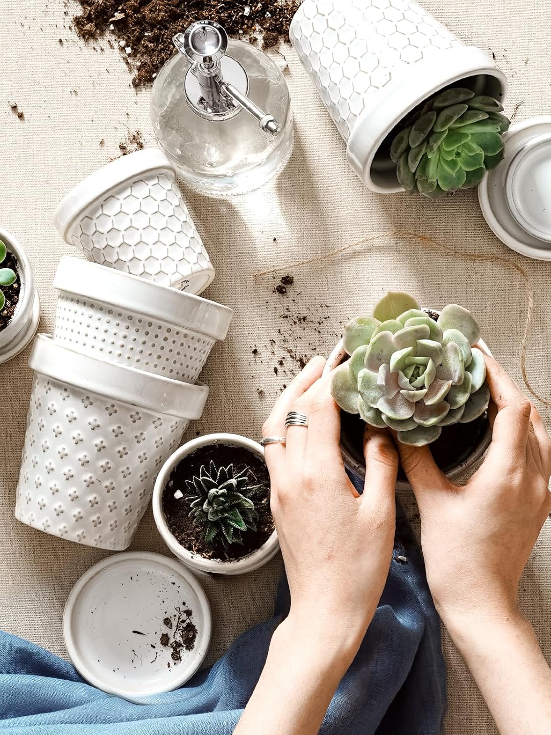 LE TAUCI Ceramic Succulent Pots, 3 Inch Mini Flower Pots for Indoor Plant Cactus, Embossed Small Plant Pot with Drainage Hole & Saucer, Home Decor - Set of 4, Arctic White