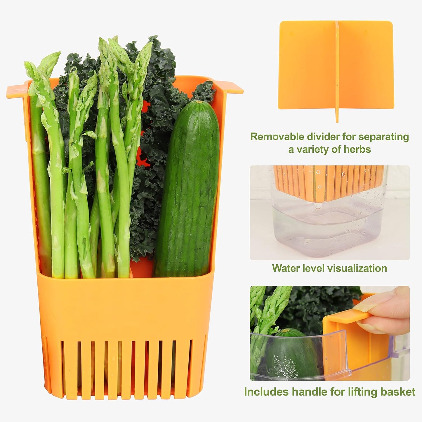 3 Pack Herb Keeper, BPA-Free Plastic Herb Saver with an Inner Basket for Cilantro, Mint, Parsley, and Asparagus, Keeps Fresh Herbs for 3 Times Longer