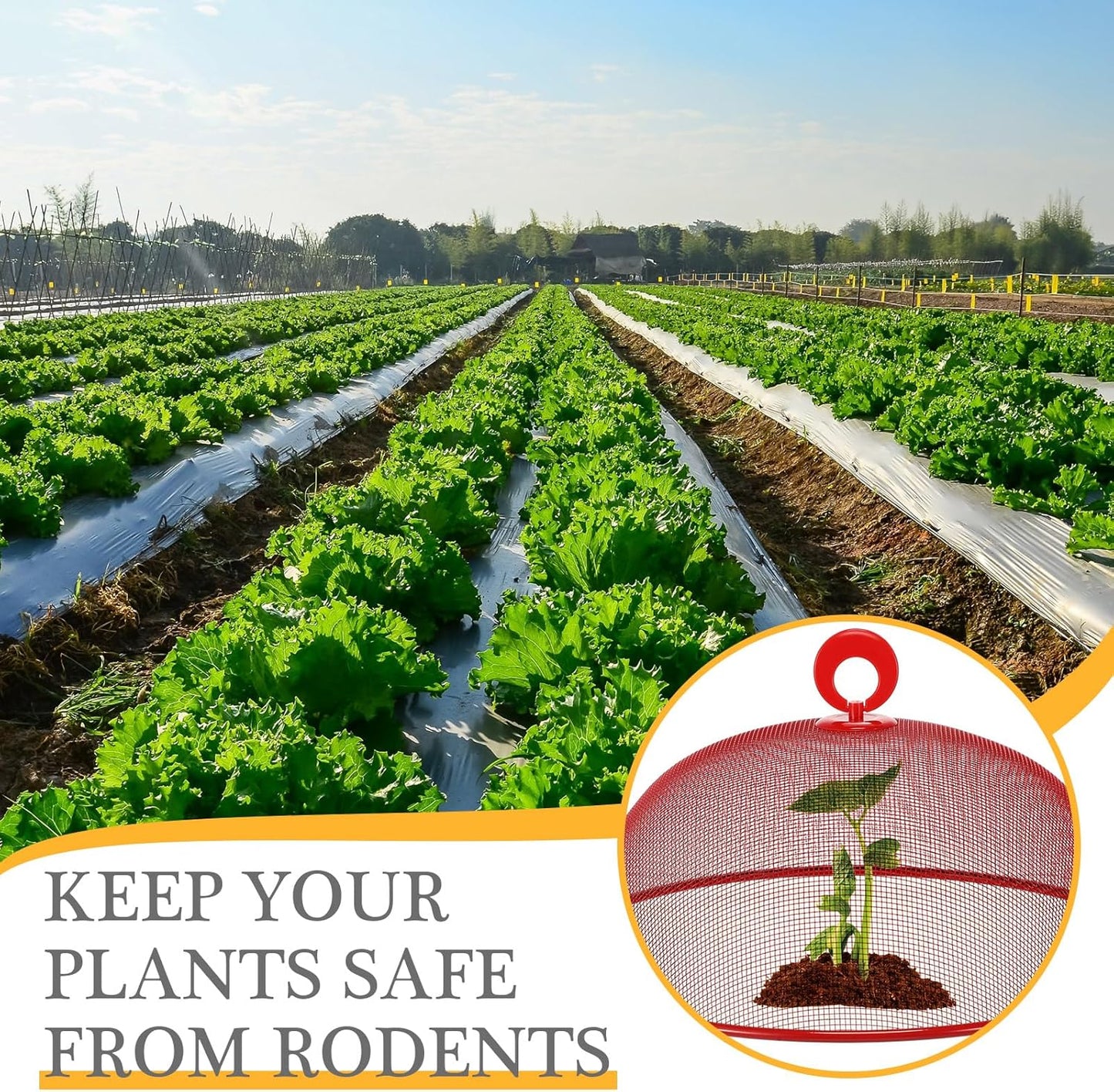 Gerrii 6 Pcs Metal Mesh Food Cover Outdoor Mesh Food Tents Dome Screen Plate Covers for Dinner Plates Reusable Fruit Fly Nets Picnic Food Umbrella for Table, BBQ, Camping, Party (Red,11 Inch)